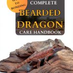 Reptile Care Kindle Ebook by W4 Publishing Enhanced Typeset-0