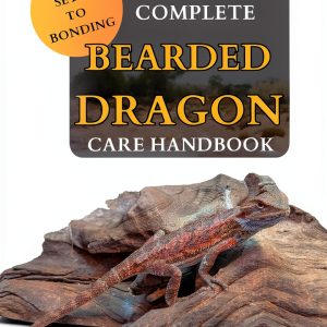 Reptile Care Kindle Ebook by W4 Publishing Enhanced Typeset-0